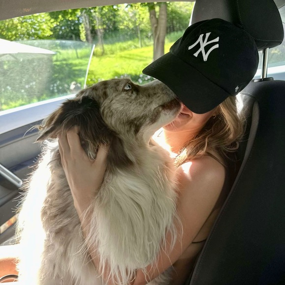 Meet your Posher, Addison - Picture 3 of 6